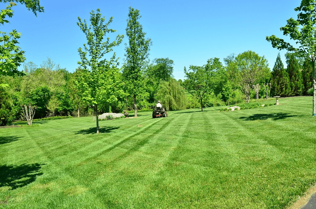 Lawn Patterns and lawn lain maintenance image
