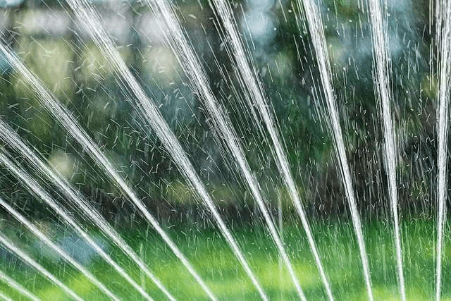 Lawn Patterns and lawn lain maintenance image