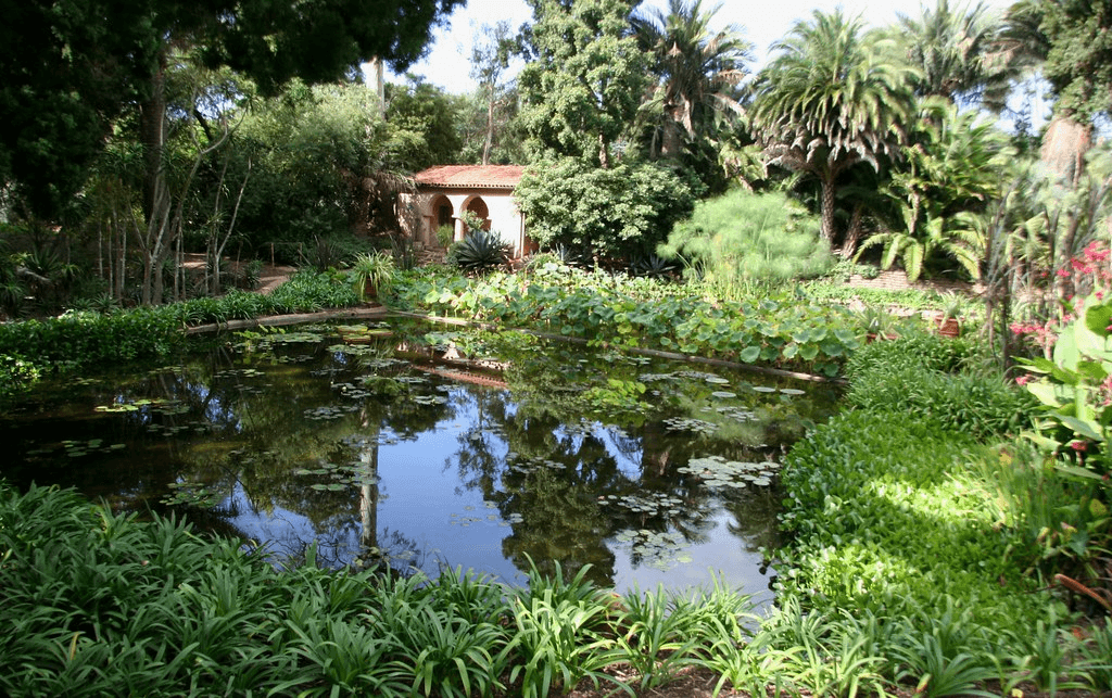 image Landscape and design with flowers image