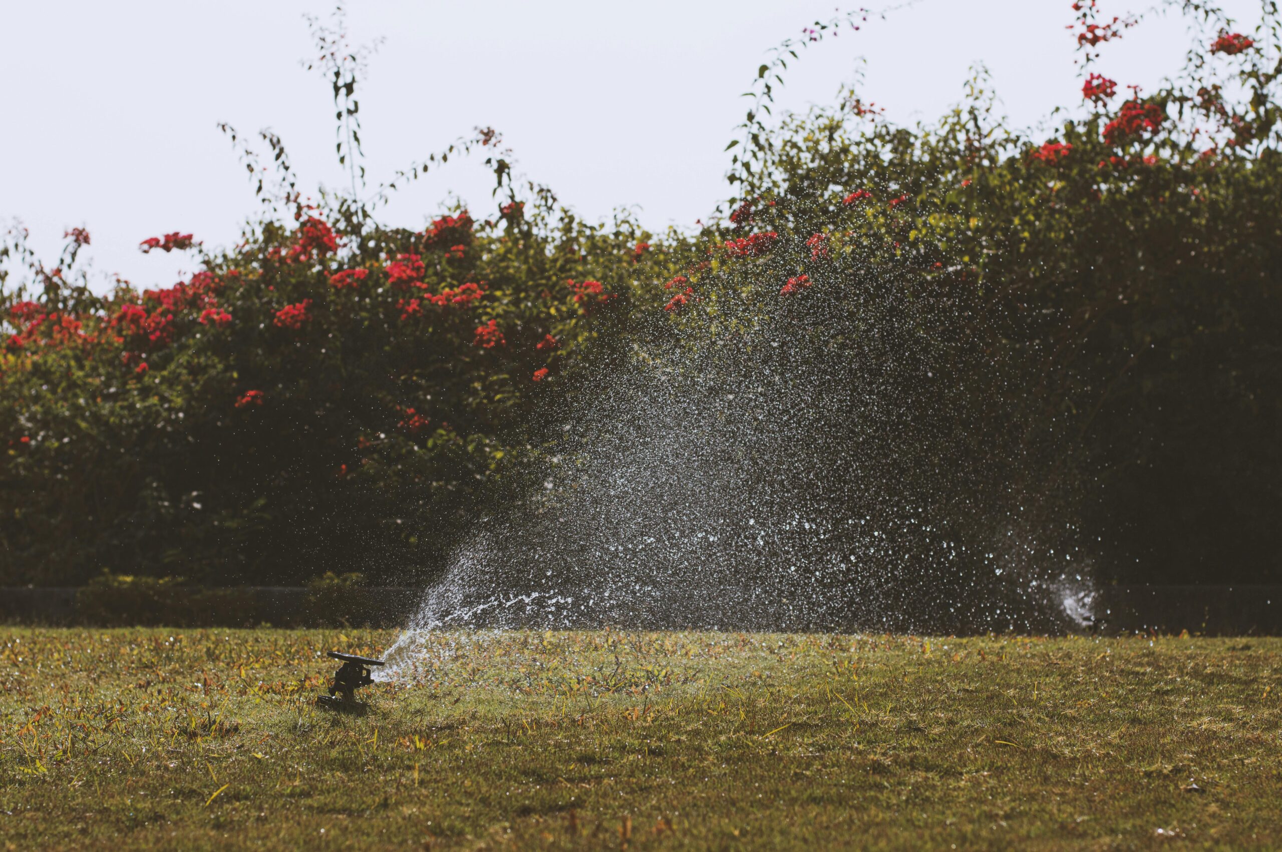 red lawn mower image