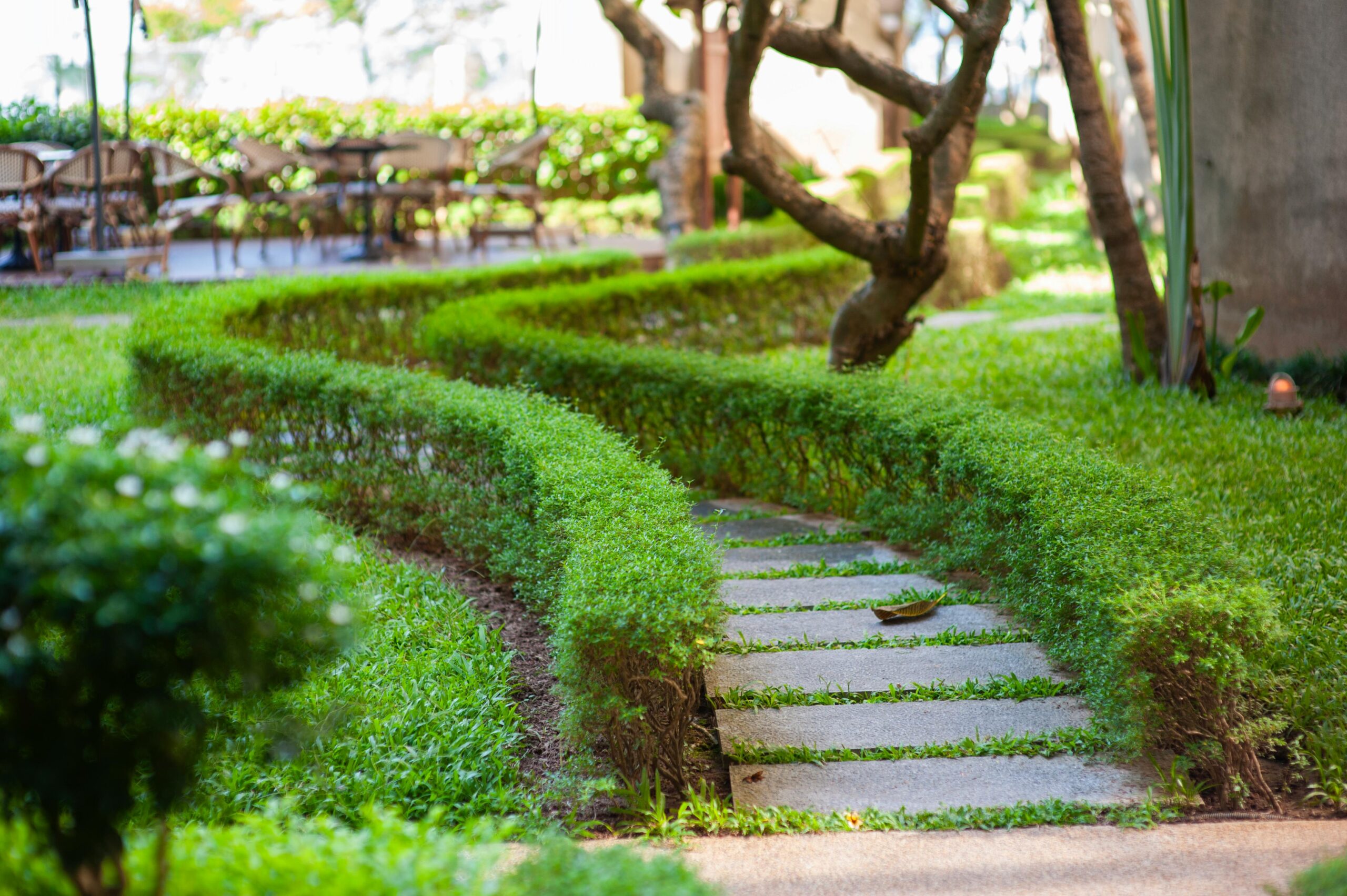 Lawn Patterns and lawn lain maintenance image