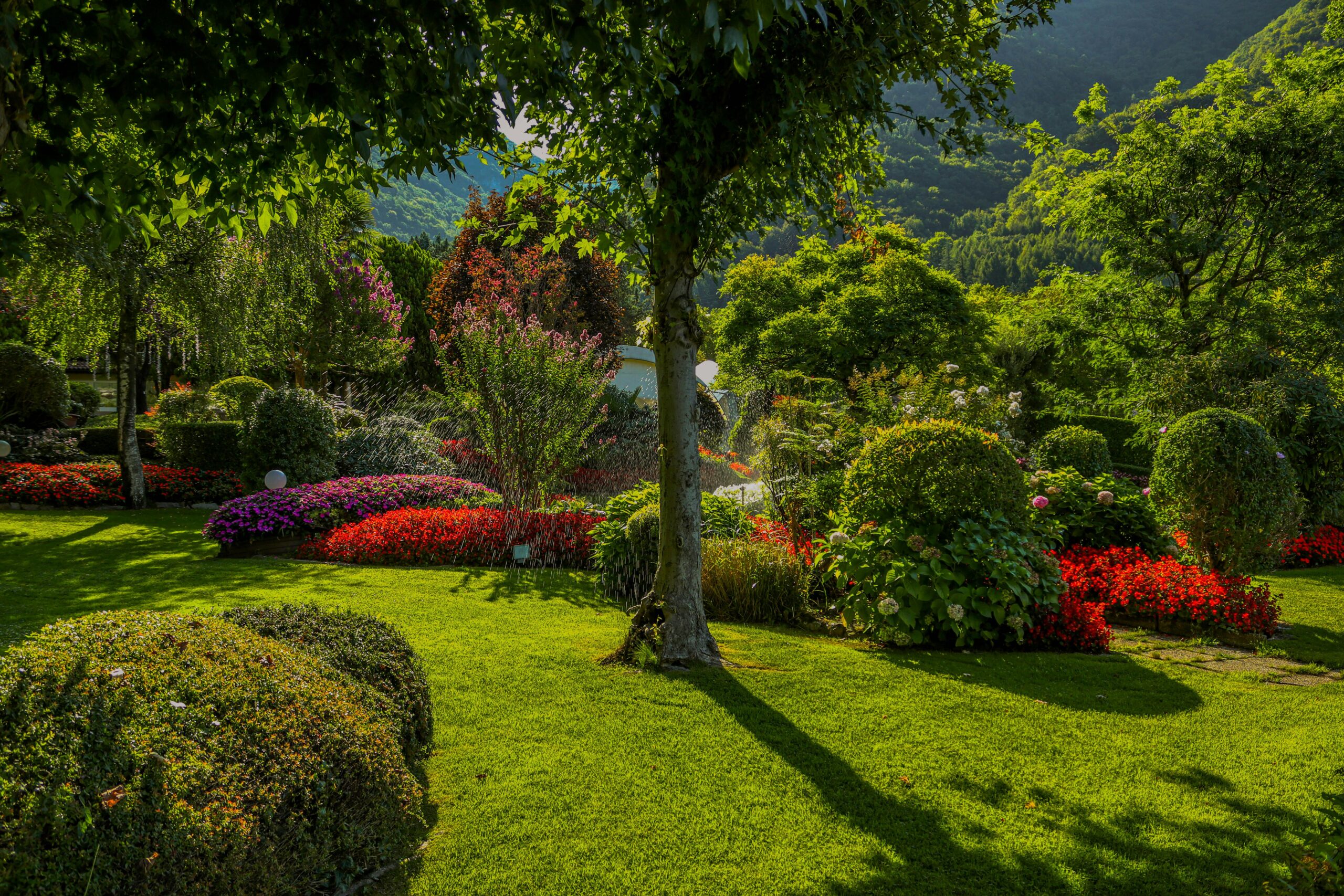 landscapeDesign Landscape Design image